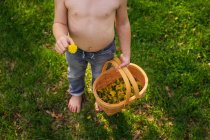 Boy holding dandelion and basket full of flowers — Stock Photo