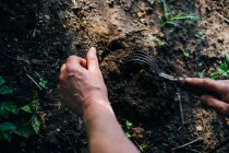 Женщина сажает растения в саду — стоковое фото