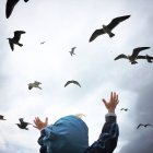 Boy reaching for birds — Stock Photo