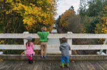 Вид сзади на троих детей, стоящих на мосту и смотрящих на поезд, идущий снизу — стоковое фото