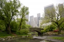 Пруд в Центральном парке, Манхэттен, Нью-Йорк, США — стоковое фото