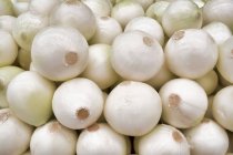 Harvest of fresh white onions in heap — Stock Photo