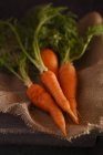 Свіжу моркву поміщають на старий мішок — стокове фото