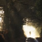 Вид сзади на человека, идущего под солнцем — стоковое фото