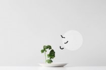 Conceptual spooky forest made up of green herbs and vegetables on a plate against grey wall — Stock Photo