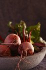 Freshly plucked beets in stone plate — Stock Photo