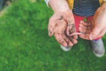 Close-up view of boy holding earth worm in hands — Stock Photo