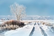 Estados Unidos, Colorado, vista panorámica de las vías férreas nevadas que conducen hacia - foto de stock