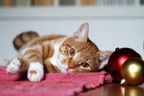 Cute fluffy kitten lying on table with Christmas baubles — Stock Photo