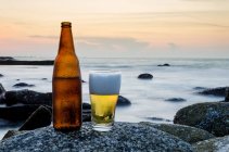 Un vaso de cerveza y una botella de cerveza en una roca en la playa - foto de stock