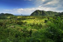 Vista elevata dell'azienda agricola, mare sullo sfondo, ovest Nusa Tenggara, Indonesia — Foto stock