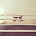 Vue à angle bas du chat mignon dormant sur un lit mezzanine — Photo de stock
