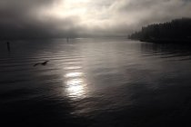 USA, Washington State, Kitsap County, Bainbridge Island, Salish Sea. Bainbridge Island, Peaceful waters of the Puget Sound — Stock Photo