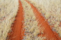 Faixas de pneus através de areia laranja no deserto — Fotografia de Stock