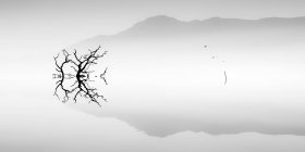 Vista cênica de silhueta de árvore em lago nebuloso — Fotografia de Stock