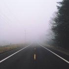 Туман на пустой дороге с деревьями и проводами по сторонам — стоковое фото