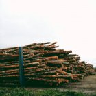 Stack of wooden logs at cloudy day, USA — Stock Photo