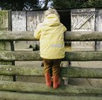 Visão traseira do menino jovem inclinado sobre cerca de fazenda — Fotografia de Stock