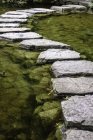 Scenic view of Stepping stones across a pond in Japanese garden — Stock Photo