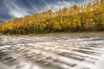 Vista panoramica del fiume che scorre nella foresta autunnale, Blei, Hokkaido, Giappone — Foto stock