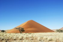 Vista panorâmica da duna de areia e da árvore no deserto, Sossusvlei, Namíbia — Fotografia de Stock