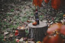 Nature morte avec bouteille de vin rouge, Verre et grenade en scène automnale, Italie, Piémont, Tortona — Photo de stock