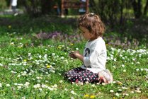 Chica recogiendo flores de primavera en el prado - foto de stock