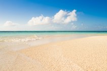 Malerischer Blick auf tropischen Strand, Kaktusfeige Insel, Antigua, Karibik — Stockfoto