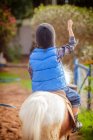 Vue arrière du garçon chevauchant un cheval de poney dans le parc — Photo de stock