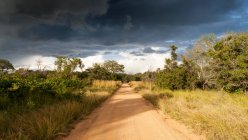 Vista panorámica del camino de tierra vacío, Parque Nacional Kruger, Mpumalanga, Sudáfrica - foto de stock