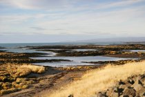 Vista panorámica del paisaje costero, Islandia - foto de stock