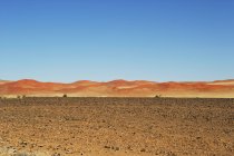 Vista panorámica del paisaje de dunas de arena, Parque Nacional Naukluft, Sossulsvlei, Namibia - foto de stock