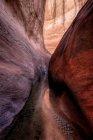 Vista panorámica de Willow Gulch Narrows, Glen Canyon National Recreation Área, Utah, EE.UU. - foto de stock
