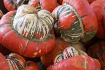 Primo piano di zucche rosse raccolte fresche in mucchio — Foto stock