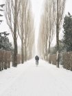 Людина, їзда на велосипеді по дорозі снігу, Копенгаген, Данія — стокове фото