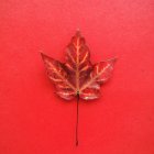 Крупный план красного осеннего листа на красном фоне — стоковое фото