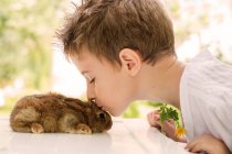 Primer plano de chico besando conejo mascota - foto de stock