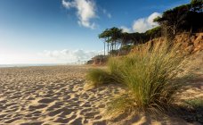 Malerischer Blick auf leeren Strand, faro, portugal — Stockfoto