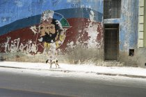 Dog walking past mural of cuban revolutionaries, Havana, Cuba — Stock Photo