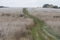 Vue panoramique sur le sentier à travers la campagne gelée — Photo de stock