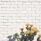 Flores amarelas contra parede de tijolo branco — Fotografia de Stock