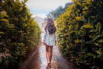 Visão traseira de uma jovem caminhando por um caminho entre arbustos verdes — Fotografia de Stock