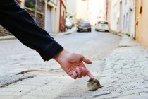 Cropped image of male hand touching sparrow on street at Bernkastel-Kues, Germany — Stock Photo