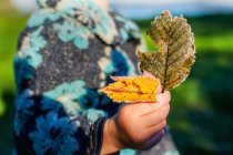 Mid section of a girl holding frosty leaves — Stock Photo