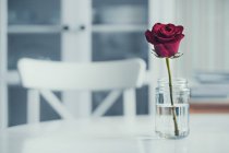 Свіжа червона троянда в банці на обідньому столі — стокове фото
