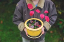 Garçon tenant pot de fleurs avec petit arbre — Photo de stock