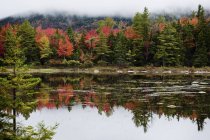 Vista panorámica del majestuoso bosque otoñal reflejándose en el lago - foto de stock