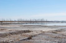 Vista panorámica del paisaje seco del lago - foto de stock