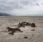 Scenic view of rotten wood at beach under gray sky — Stock Photo