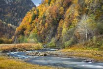 Vista panorámica del valle del río en otoño, Hokkaido, Japón - foto de stock
